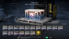 Rüyalar Kabuslar Kasası