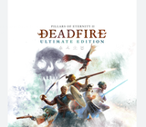 ⭐Pillars Of Eternity II Deadfire + Garanti ⭐