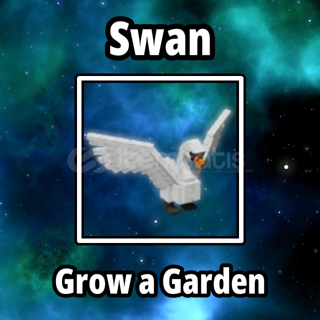 ⭐ 2 Adet Swan ⭐ Grow a garden ⭐ 2 Adet Swan ⭐ Grow a garden
