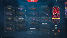 ⭐BATTLEPASS HESAP!⭐