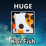 Huge Koi Fish