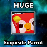 Huge Exquisite Parrot