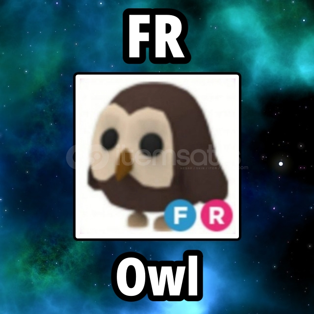 FR Owl ⭐ Adopt Me FR Owl ⭐ Adopt Me