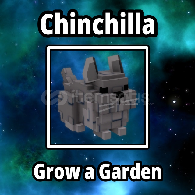 ⭐ Chincilla ⭐ Grow a Garden ⭐ Chincilla ⭐ Grow a Garden