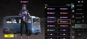 S2 mor üstlü nadir hesap 8 yıllık hesap