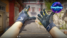 ★ Specialist Gloves | Field Agent (Field-Tested)