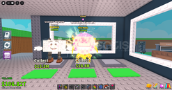 sab 12.7m veren Quesadilla crocodila