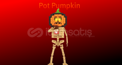 Sab Pot Pumpkin En Ucuzu Sab Pot Pumpkin En Ucuzu