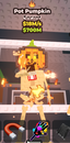 SaB Pot Pumkin 18m (En Ucuzu) SaB Pot Pumkin 18m (En Ucuzu)