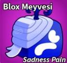 Sadness Pain Fruit BLOX FRUİTS MEYVE