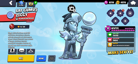 ✨️SAF GÜMÜŞ ZİGGY✨️1000 KUPA✨️