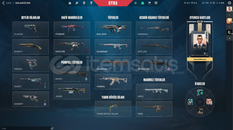 Sağlam Mainlik Hesap