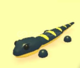 Salamander (UCUZ) Adopt Me