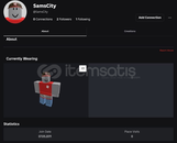 SamsCity 2011 Kurulum Hesap