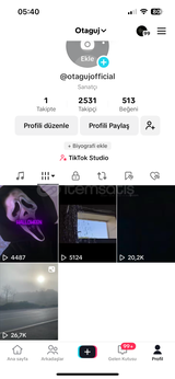 Sanatçı Hesabı 2500 Takipçili 