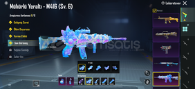 Sarı mumyalı m416 lı nihalı hesap Sarı mumyalı m416 lı nihalı hesap