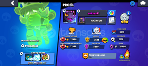 Satılık brawl stars hesabı 377 KÖSTÜMLÜ 