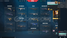 SATILIK HESAP MAİLLİ