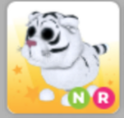  Satılık NR Lunar White Tiger Pet