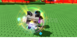 satılık uyguna 100 level rainbow rakun