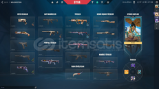 ⭐ Satılık Valorant Hesabı ⭐