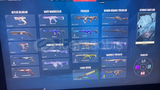 Satılık valorant plat2 kelebekli hesap