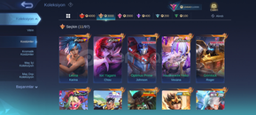 Saygın Emek Hesabı