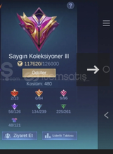 SAYGIN MİSYONER HESAP AxLINIR