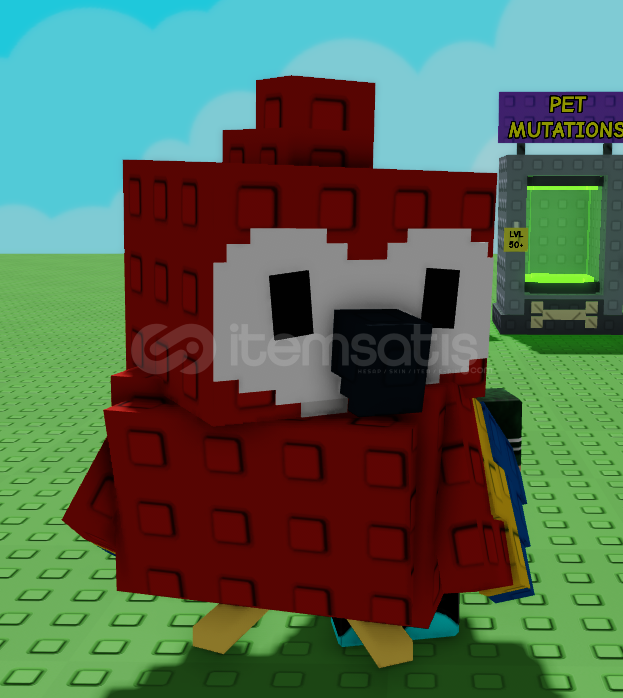 Scarlet Macaw Scarlet Macaw