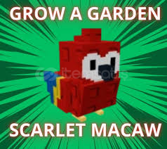 SCARLET MACAW PET GROW A GARDEN  SCARLET MACAW PET GROW A GARDEN