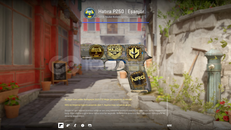 Hatıra P250 | Eşanjör (FT)