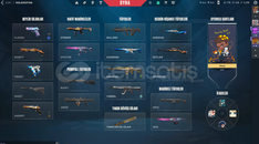 mainlik bronz acc
