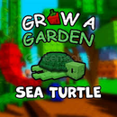 Sea Turtle + HIZLI TESLİM