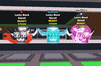 3x SECRET LUCKY BLOCK PACK YING YANG, TRAITS