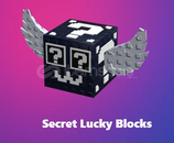 Secret Laky Block
