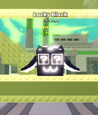 Secret Lucky Block