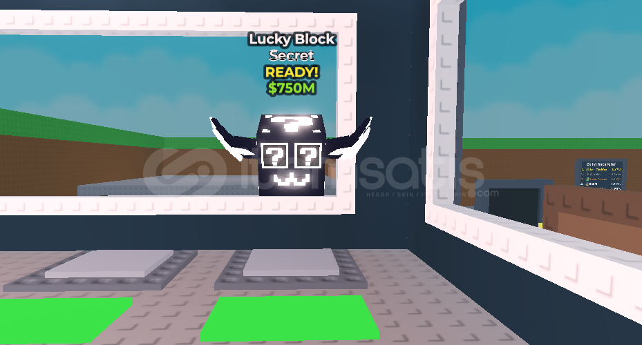✨SECRET LUCKY BLOCK✨(750M!!) ✨SECRET LUCKY BLOCK✨(750M!!)