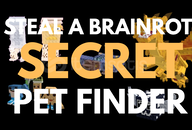 ⚡SECRET PET FINDER STEAL A BRAINROT⚡1 GÜNLÜK