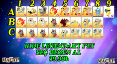 ⭐️SEÇTİĞİNİZ 1 ADET R LEGENDARY PET⭐️ EN UYGUN