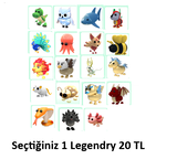 Seçtiğiniz 1 Legendry 20 TL [Anında Teslimat]