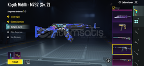 ŞEHİR MUHAFIZI ANANAS NİHAİ BEDAVAYA HESAP ŞEHİR MUHAFIZI ANANAS NİHAİ BEDAVAYA HESAP