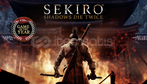 Sekiro Shadows Die Twice GOT Edition  Sekiro Shadows Die Twice GOT Edition