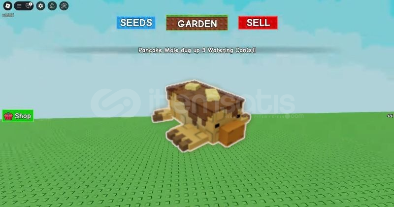 SEMİ TİTAN PANCAKE MOLE GROW A GARDEN SEMİ TİTAN PANCAKE MOLE GROW A GARDEN