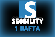 Seobility 1 Haftalık