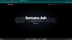 Serverınız için ÖZELLEŞTİRİLMİŞ WEB Sitesi