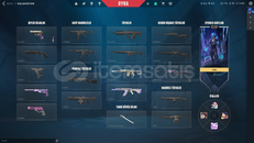 SEVGİLİYE UYGUNA HESAPPP!!!!! İLK MAİLLİ