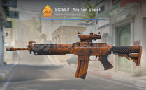 SG 553 | Ara Ton Sepet (Görevde Kullanılmış)