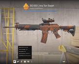 SG 553 | Ara Ton Sepet Görevde Kullanılmış