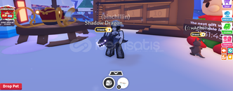 SHADOW DRAGON (F)(R) SHADOW DRAGON (F)(R)