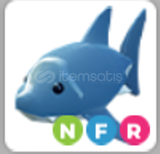 Shark NFR